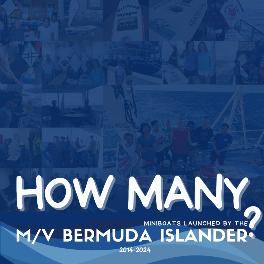 bermuda islander